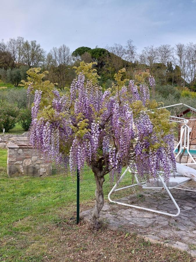 טודי Agriturismo Camera Rosa מראה חיצוני תמונה